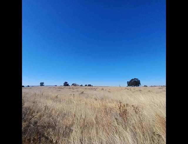 8.50HA VACANT LAND FOR SALE IN WITKOP